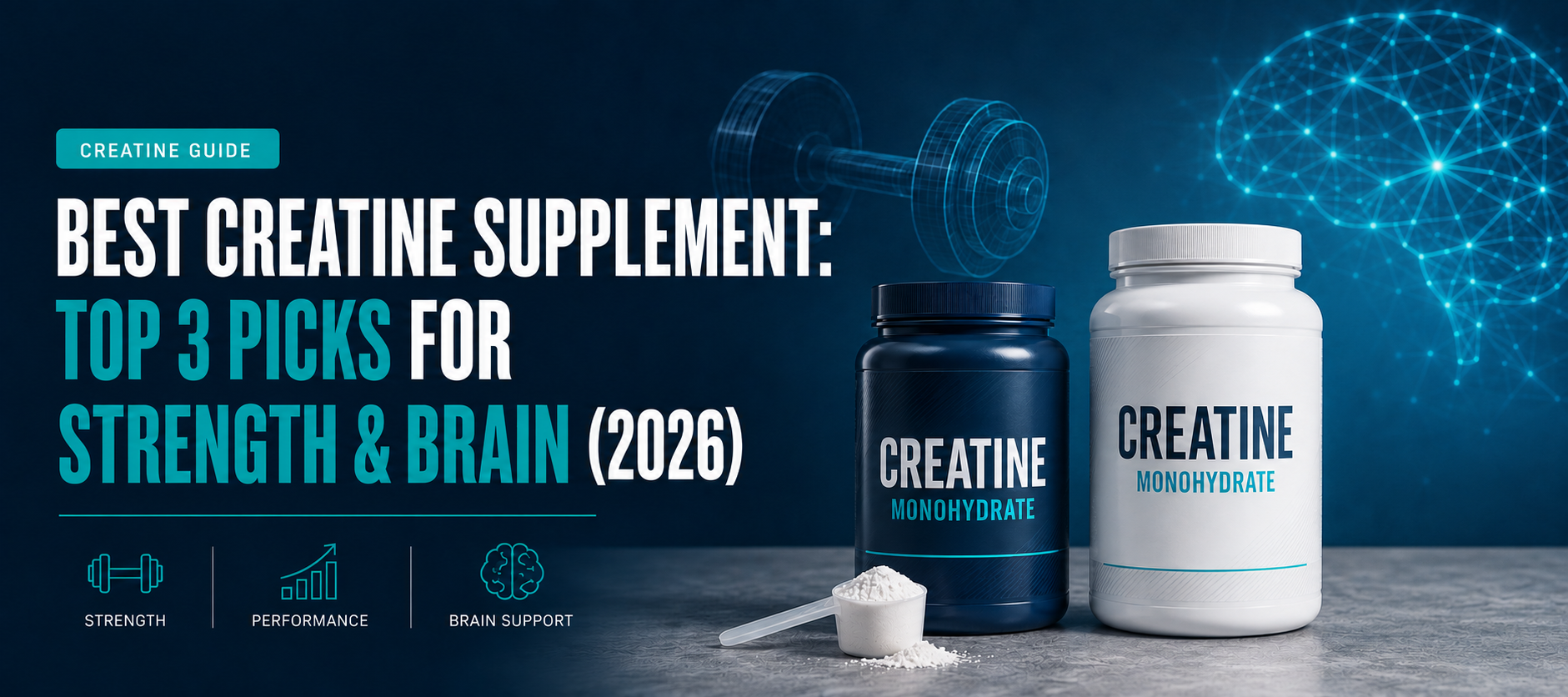 Best Creatine Supplement