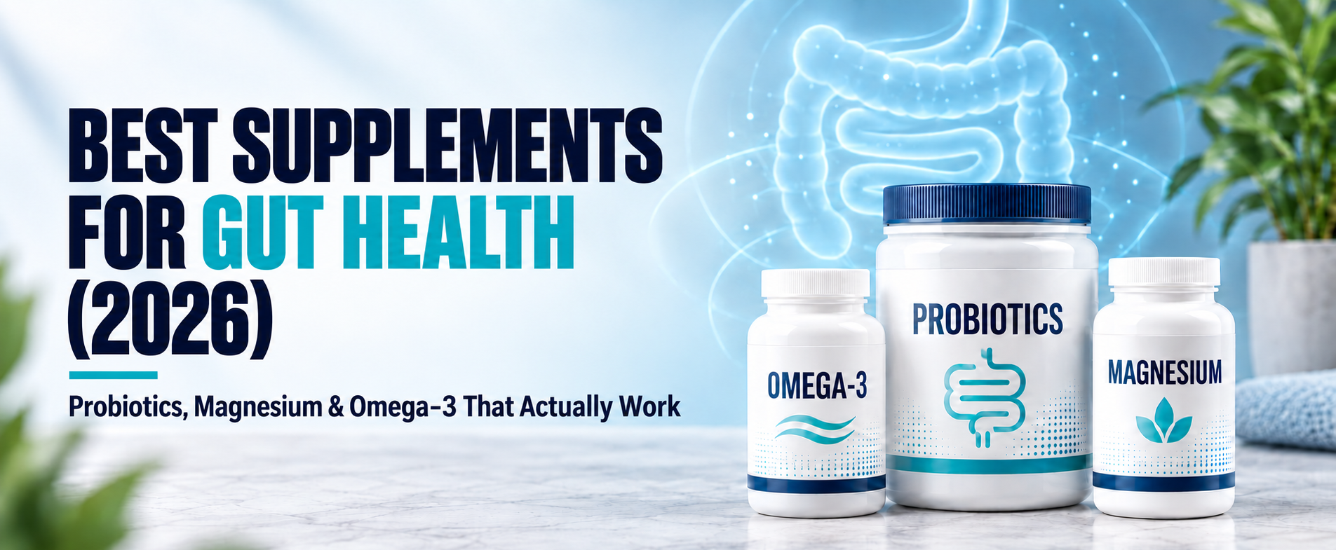 Best Supplements for Gut Health 2026